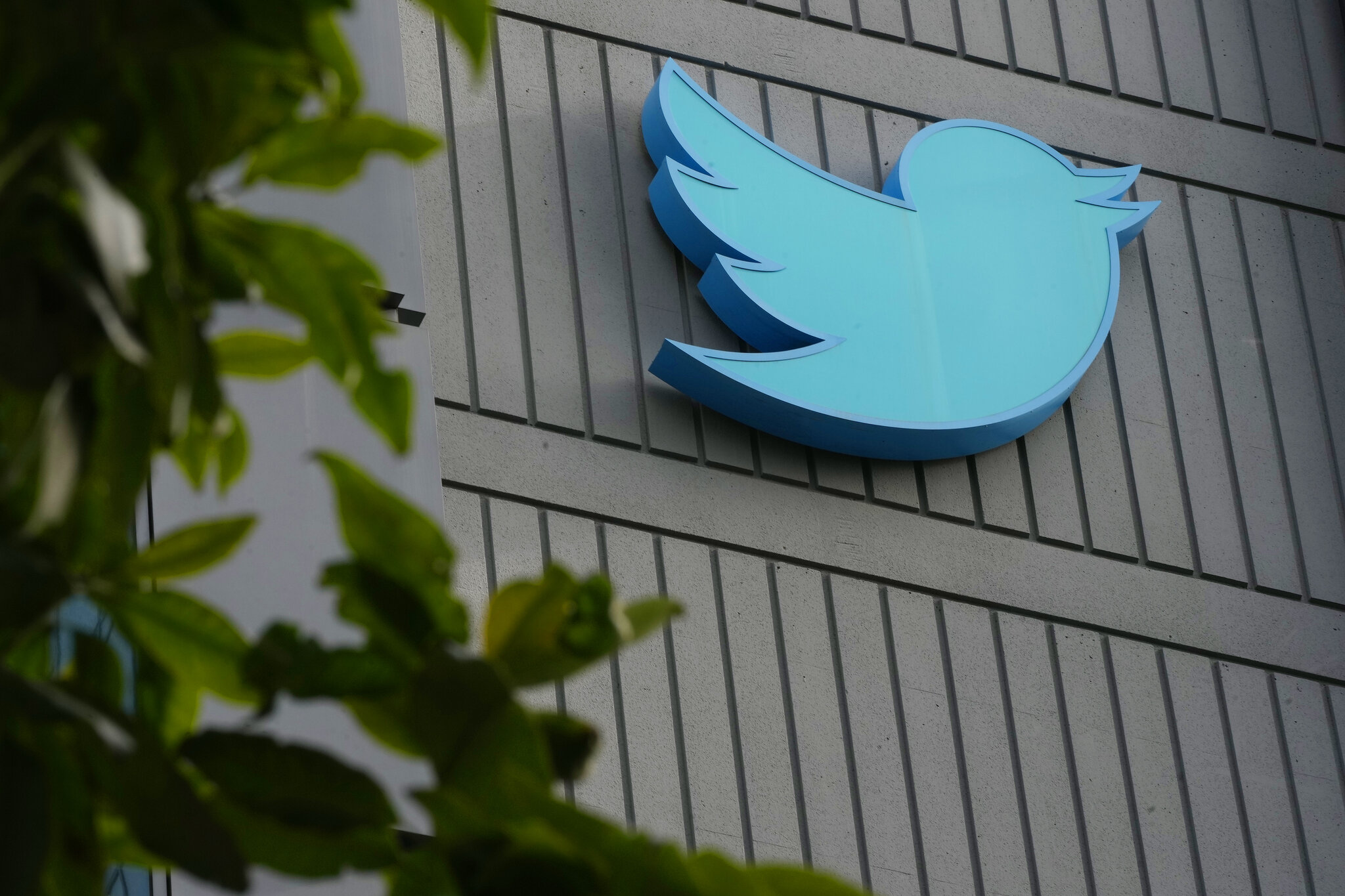 Successful social media marketing cases for small businesses