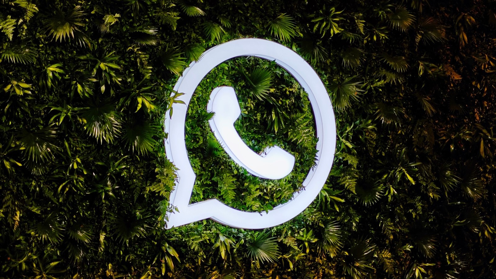 Use WhatsApp filtering to easily solve the problem of finding users on WhatsApp.