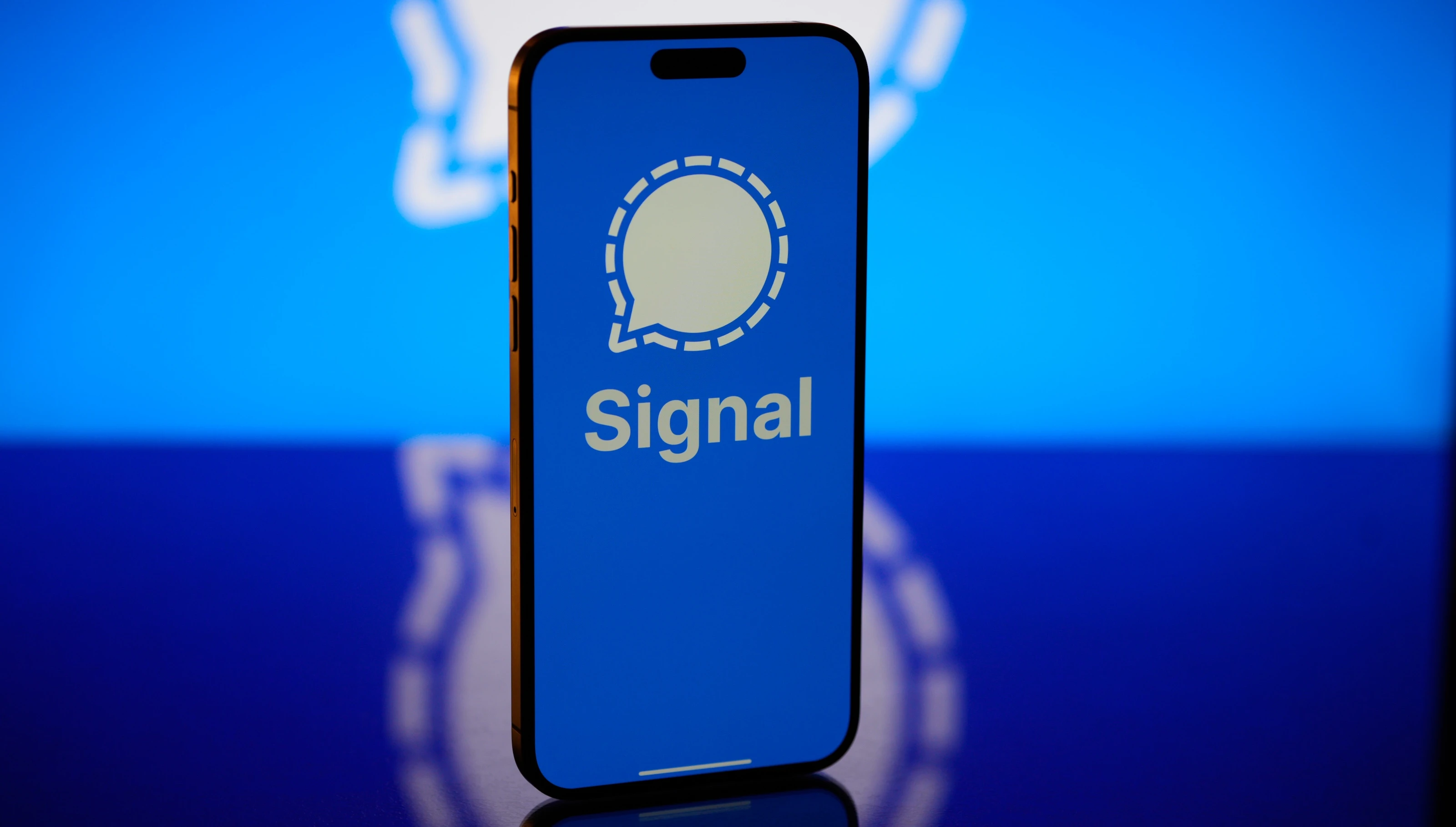 Mint Financial App Number Screening Technology: An Innovative App for Digital Payment Security