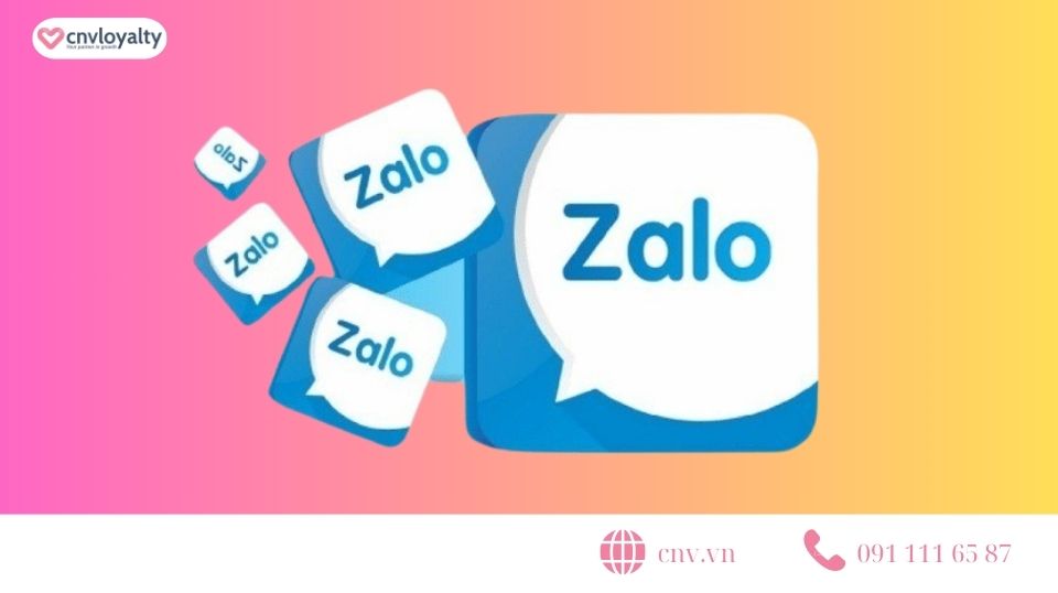Zalo follower growth